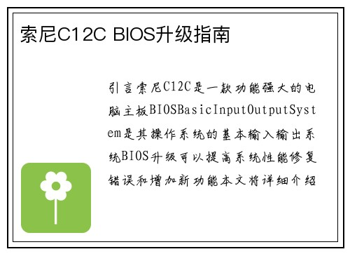 索尼C12C BIOS升级指南